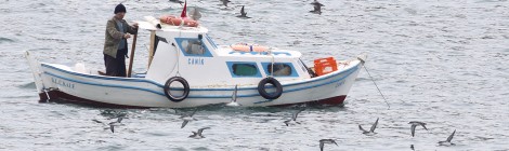 First Seabird By-Catch Project in Turkey