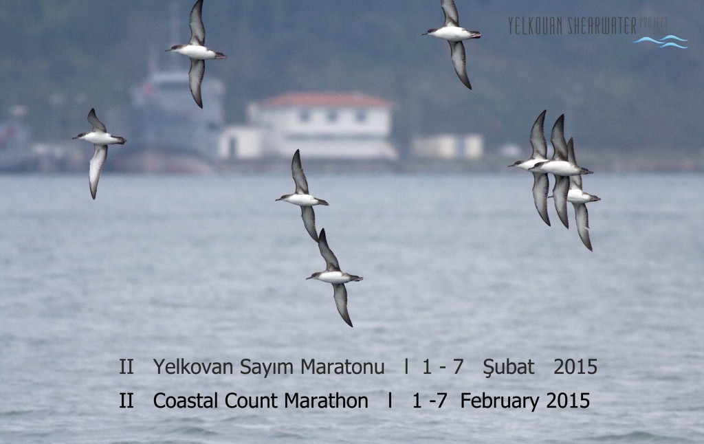 yelkovan_sayim_maratonu