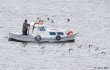 First Seabird By-Catch Project in Turkey