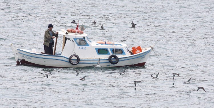 First Seabird By-Catch Project in Turkey