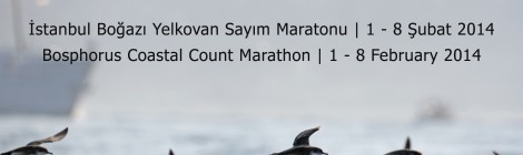 Bosphorus Coastal Count Marathon